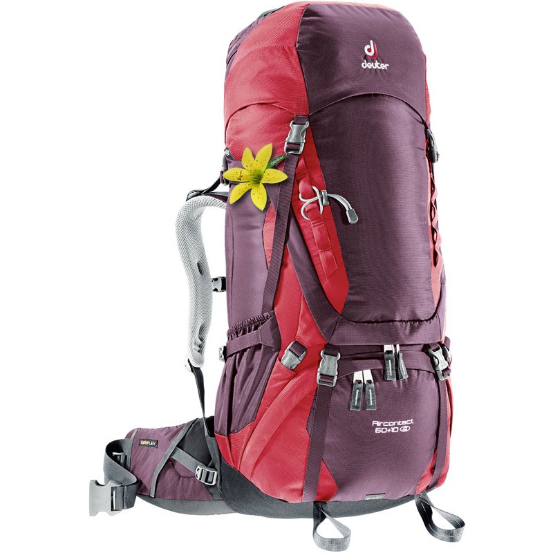 Deuter Aircontact 60+10 SL Trekkingrucksack Damen, 239,95