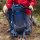 Gregory Zulu 40 RC MD/LG - Wanderrucksack/Tourenrucksack, 40 Liter